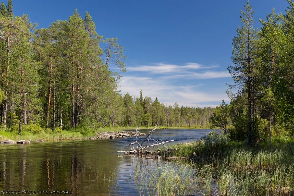 калевальский национальный парк. костомукшский. костомукшский природный заповедник. костомукшский. костомукшский природный заповедник.