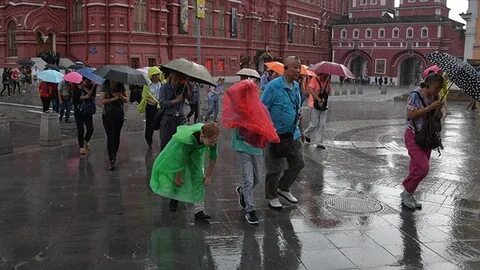Куда пойти в москве в дождливую погоду