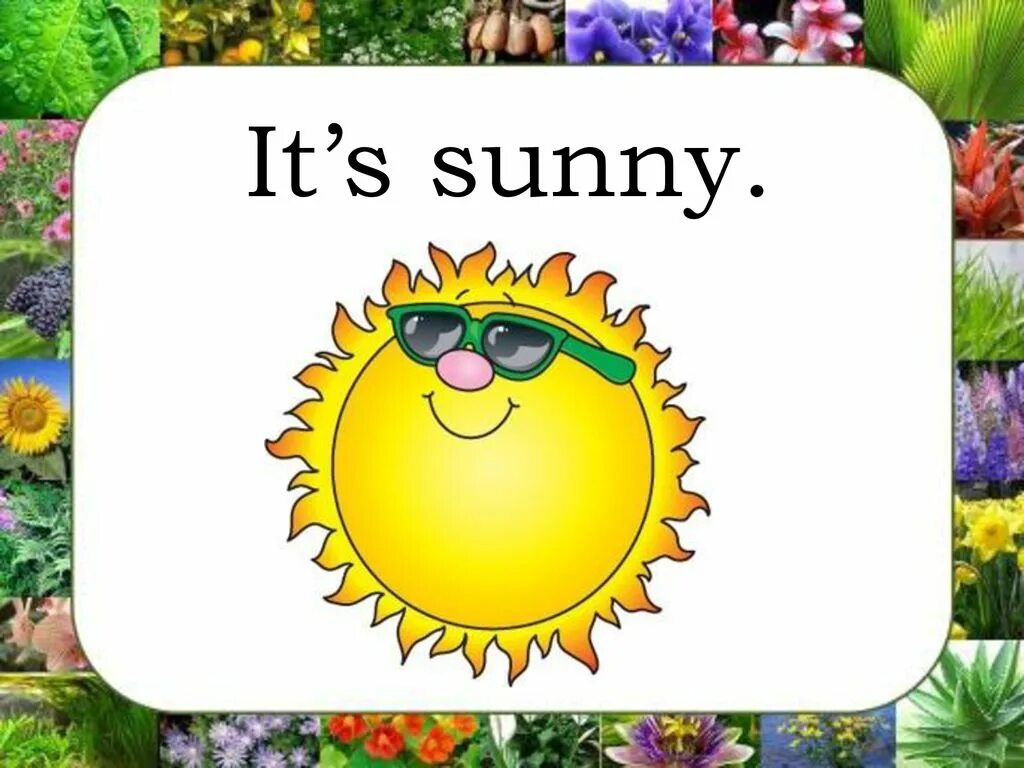 Is it sunny today. Солнечно на английском. Карточки для детей Sunny. It is Sunny для детей. It's Sunny. - Солнечно..