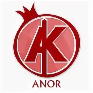 Anor travel pro logo. Тариф анор. Тариф анор. Anor логотип. Тариф анор.
