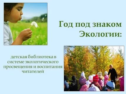 Год экологического просвещения