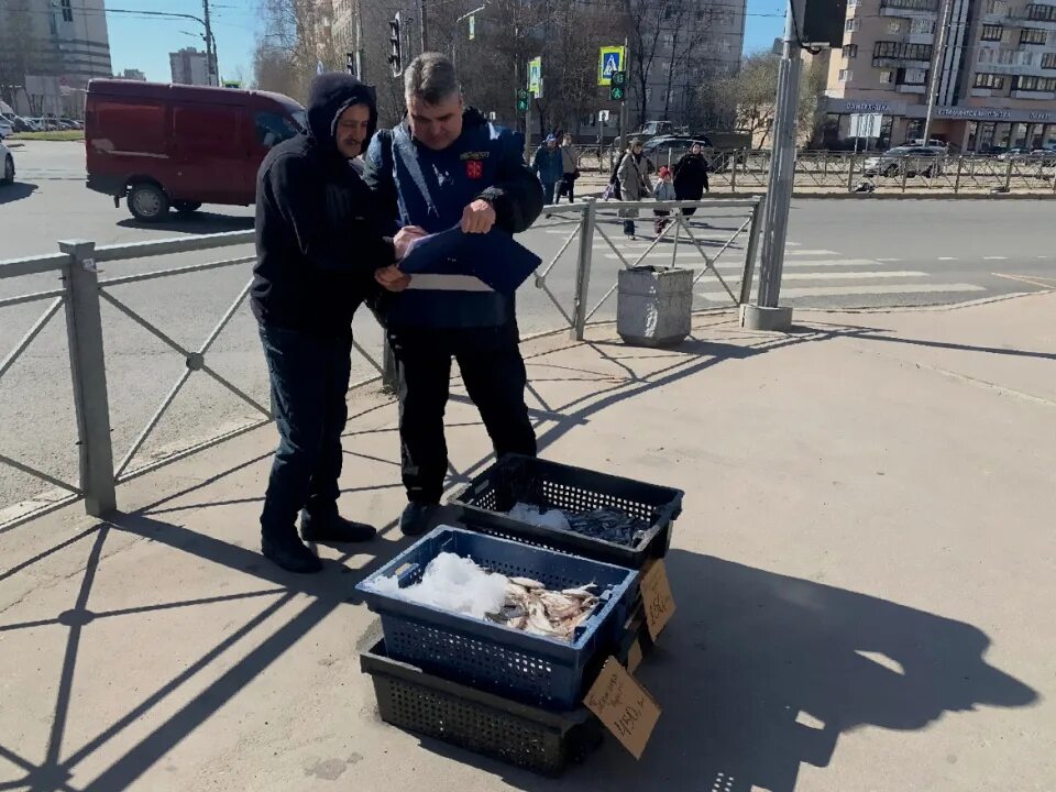 Новости спб сегодня последние свежие. Что горит в санкт-петербурге сейчас. Новости санкт петербург сегодня последние свежие события. Санкт-петербург сейчас. Новости санкт-петербурга.