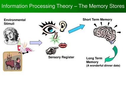Information theory
