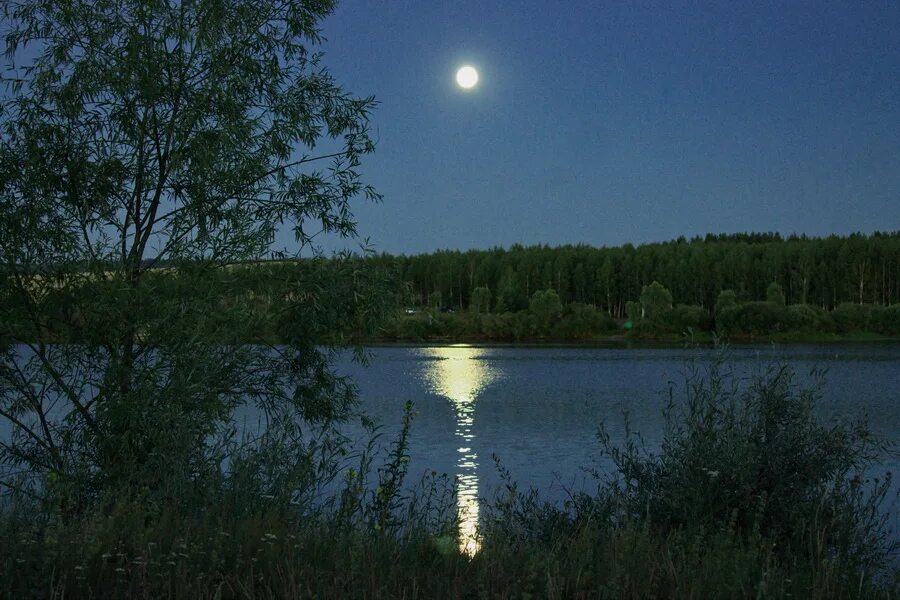 Луна купается. Месяц над прудом. Луна река. Лунная дорожка на озере. Луна и озеро.