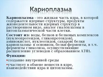 Кариоплазма