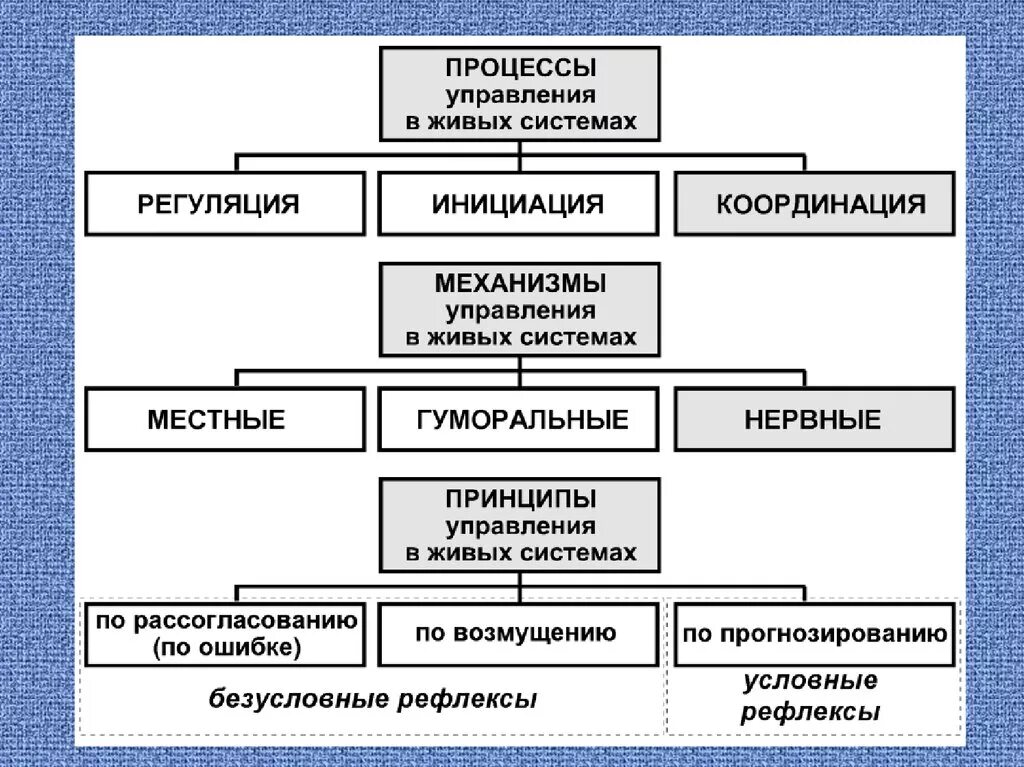 Принципы организации живого. Способы управления в живых системах. Принципы управления в живых системах. Способы управления в живых системах физиология. Способы и принципы управления функциями организма.