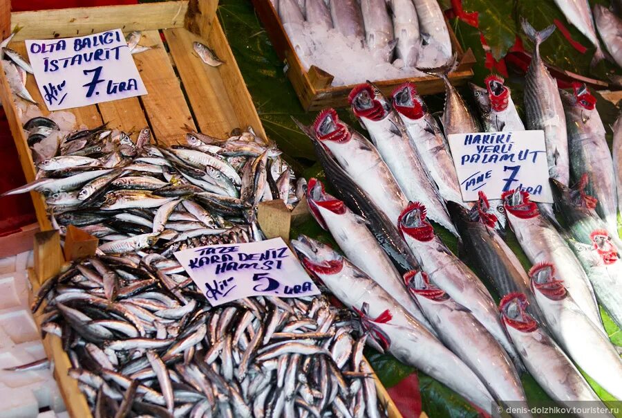 рыбный рынок как добраться. галата на карте стамбула. рыбный рынок как добраться. шарджа дубай на карте. рыбный рынок как добраться.