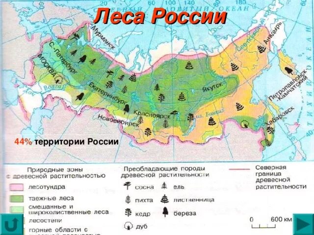 Перечислите природные зоны района. Карта природных зон России. Карта природных зон России 4. Зона смешанных лесов на карте России. Карта природных зон России широколиственные леса.