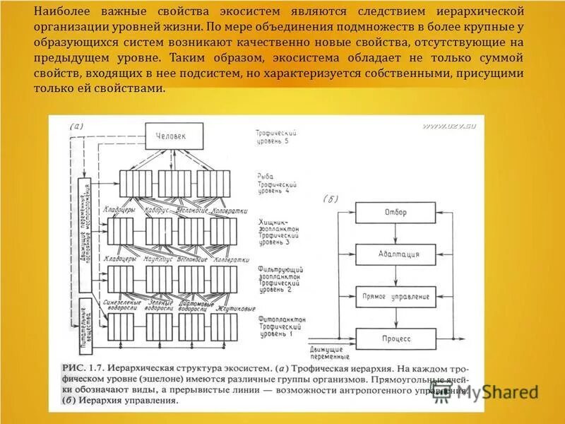 личностные качества руководителя. полнота разработки темы это. личностные качества начальника. является наиболее важной характеристикой. требования полноты данных анализа.