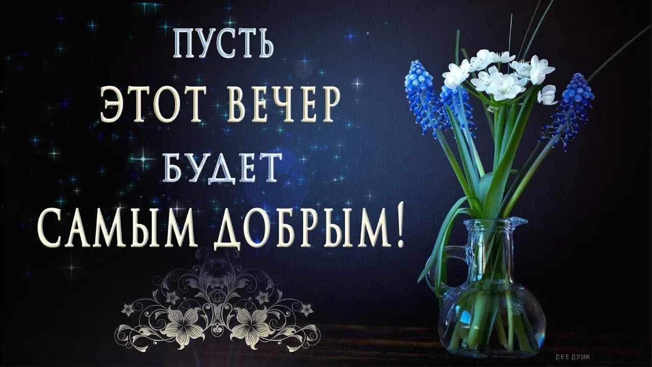 Видеоклипы добрый вечер. Пусть этот вечер. открытки для ватсапа добрый вечер. добрый вечер ватсап. пусть вечер будет.