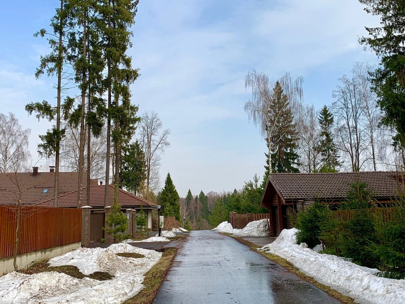 северный лес старая купавна