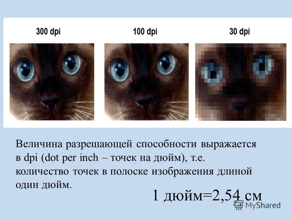 Количество точек на дюйм dpi. Разрешение точек на дюйм. Кол-во точек на дюйм. Разрешение растрового изображения. Dpi изображения.
