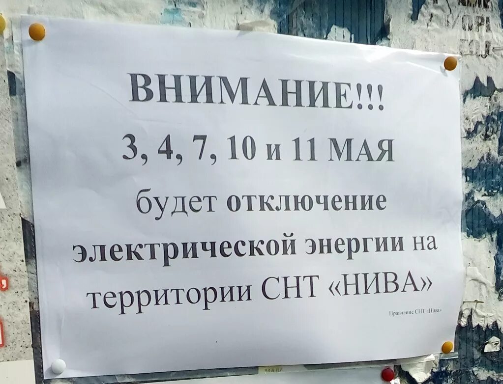 Сообщить об отключении света. Объявление об отключении электроэнергии. объявление об отключении электричества. объявление об отключении света. в связи с отключением электроэнергии объявление.