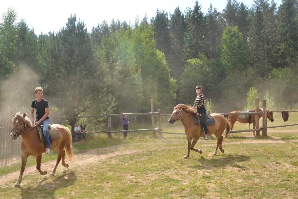 Конный лагерь. Мирград конный лагерь. Мирград конный лагерь бюджет. Конный лагерь минино. Конный лагерь.