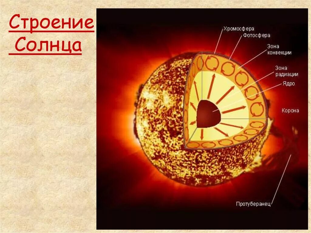 Строение звезды солнца. Внутреннее строение солнца Фотосфера. Внутреннее строение солнца ядро. Внутреннее строение солнца конвективная зона. Внутренне строение и внешнее солнца.