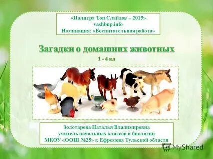 Планы домашние животные