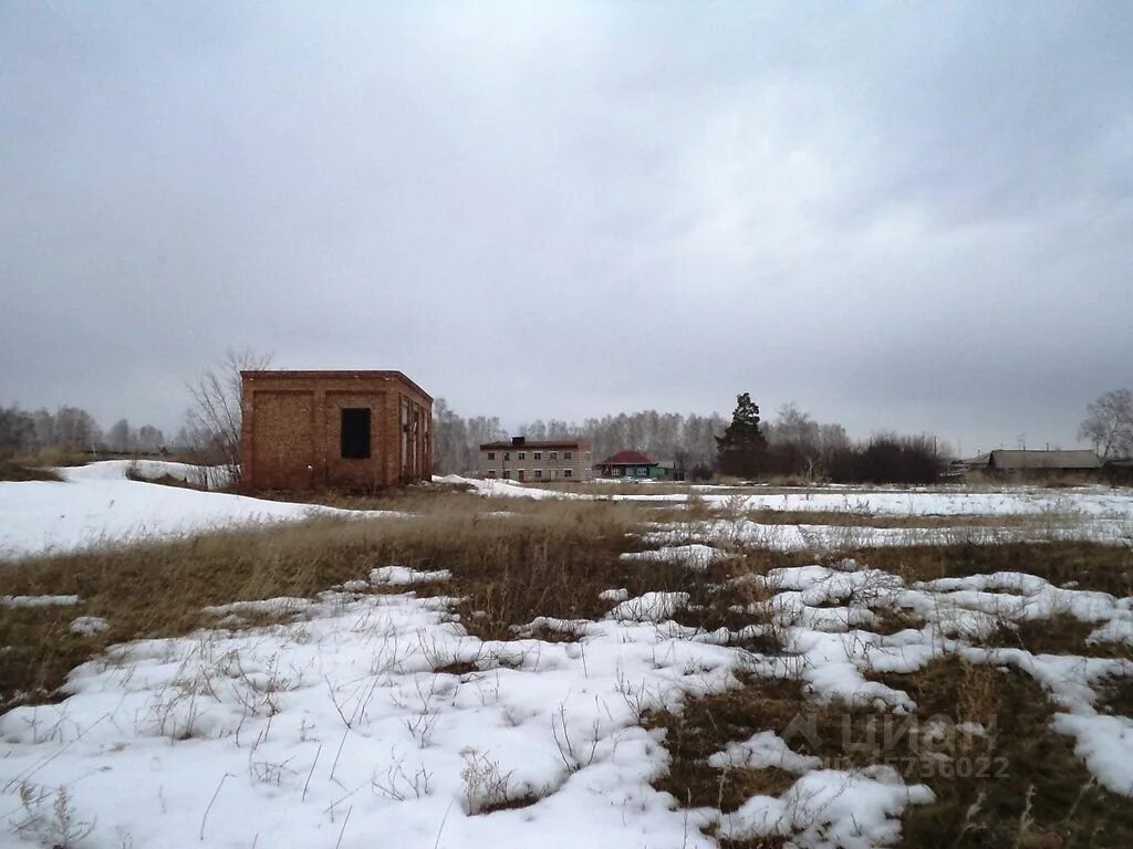 Каргаполово сузунский район. База каргаполово сузунский район. Село каргаполово новосибирская область. База каргаполово сузунский район. Каргаполово сузунский район.