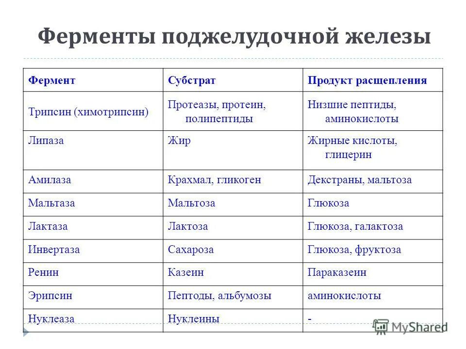 Ферменты поджелудочной железы поступают в. Функции ферментов поджелудочной железы. ферменты поджелудочной железы и их функции. три основные ферменты поджелудочной железы. протеолитические ферменты поджелудочной железы.