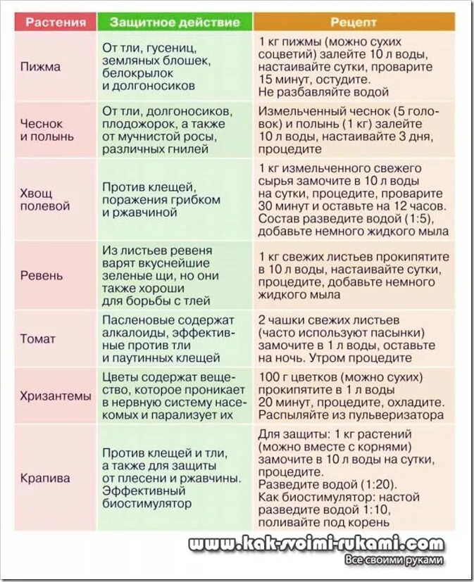 Обработка персика ранней весной. Обработка сада от вредителей и болезней. Обработка деревьев от вредителей и болезней. Средства для опрыскивания плодовых деревьев. Средства от вредителей сада для плодовых деревьев.