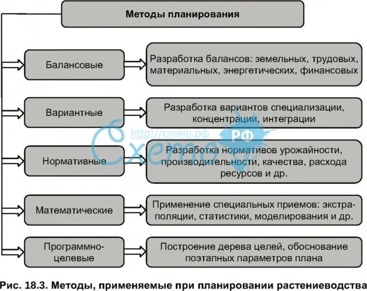 Содержание и методика планирования. Содержание и методика планирования