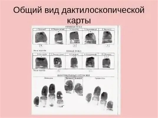 Под следами предметами трасологии понимается в частности. Трасология презентация. валики и бороздки в трасологии.