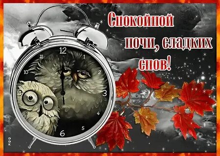 Спокойной 15