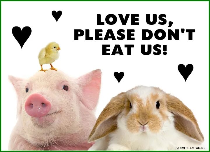 Плиз донт чейндж. Vegan animals friends. We Love animals. Dont eat. Cute animals eat with other.