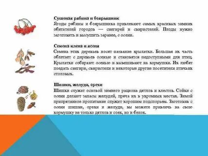 Игра шишки