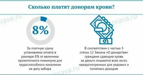 Сколько платят за донорство яйцеклетки