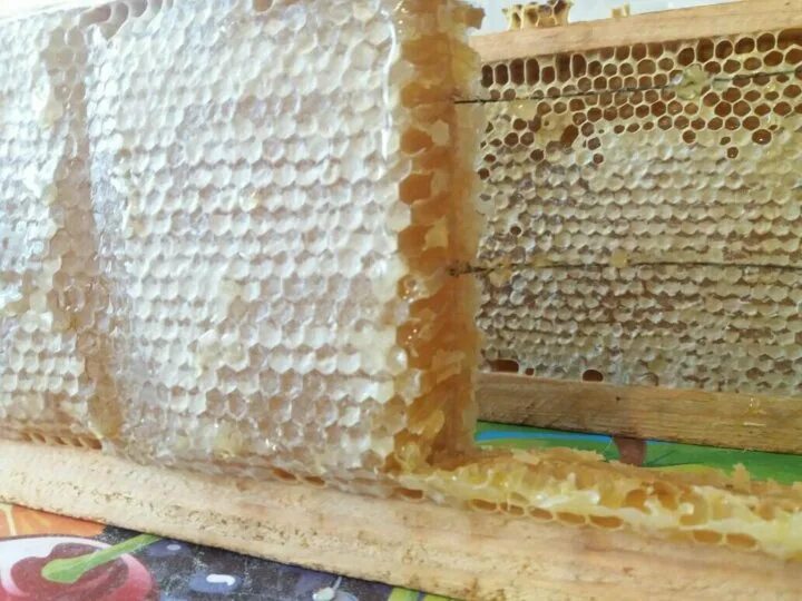 Мёд в сотах. Запечатанная рамка с медом. Дадан рамка для сотового меда. Рамка соты. Запечатанная рамка с медом.