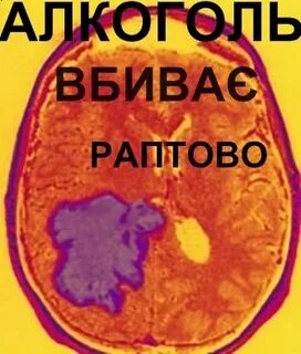 Выпил т