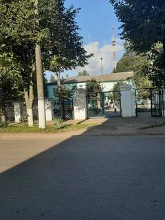 Ола якова