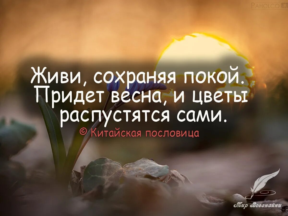 Умные мысли о жизни. Вдохновляющие фразы. Цитаты про успех. Красивые картинки с афоризмами. Мудрые фразы.