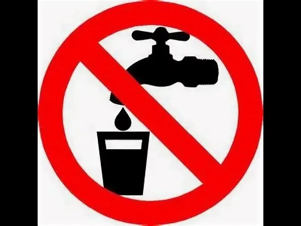 Презентация почему надо пить воду. Пить воду сидя. Нельзя пить воду. Дельфин в стакане. Какие рыбы пьют воду.