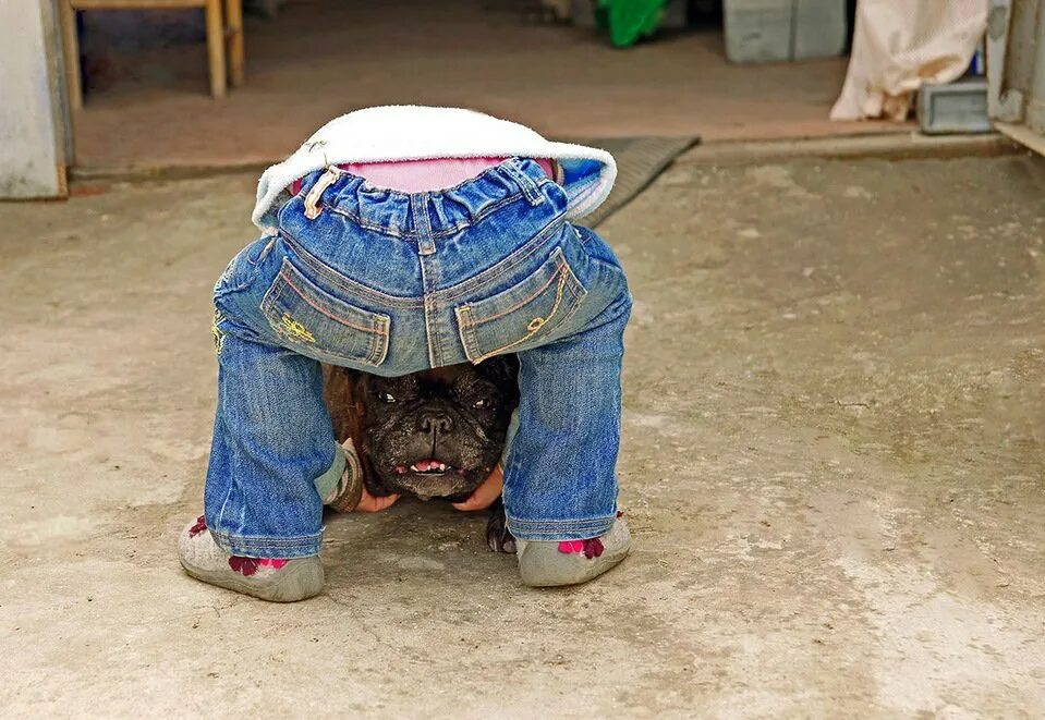 кажется показалось. случайные смешные фото. показалось. мем с картинками показалось. оказалось показалось.