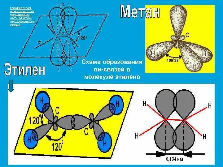 Схема образования Сигма связи. Число Сигма связей в молекуле этилена. Связи в молекуле этилена. Схема образования пи связи.