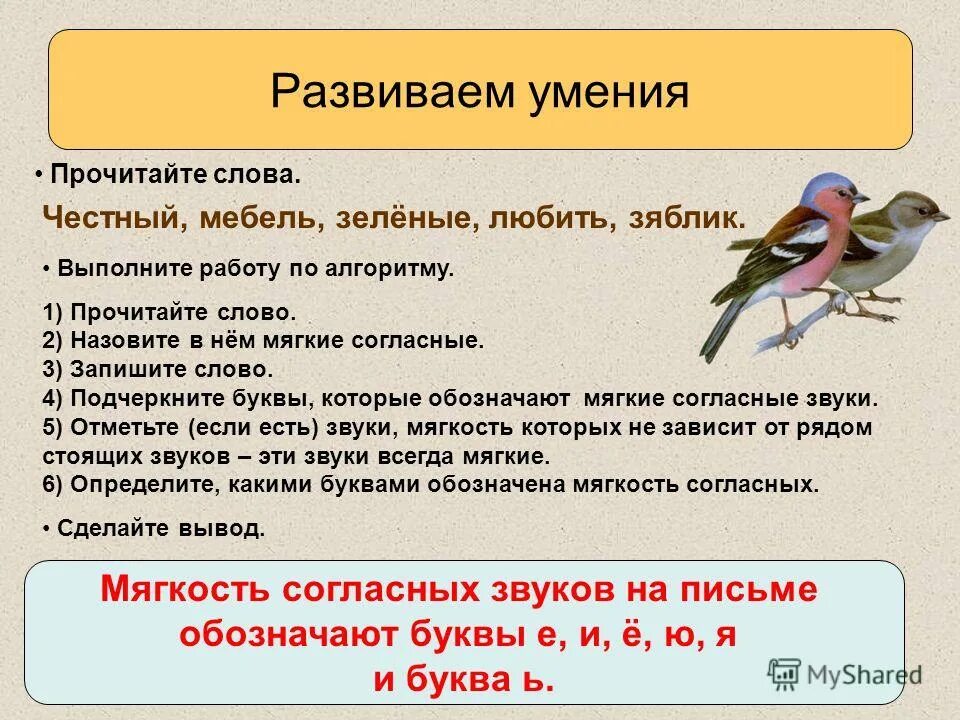 Диктант зяблик 2 класс. Диктант Зяблик. Зяблик мягкие согласные звуки. Диктант для второго класса Зяблик. Звуки в русском языке в слове Зяблик.