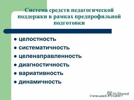 Система профессиональной поддержки