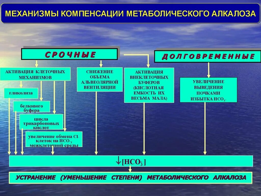 Компенсация метаболического алкалоза. Метаболический алкалоз механизм. Метаболич алкалоз механизм компенсации. Механизмы компенсации алкалоза.