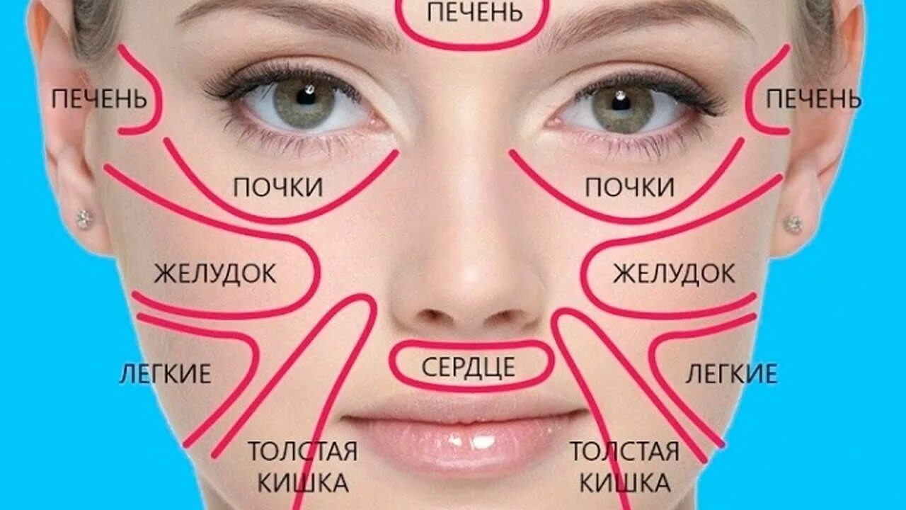 Лицо высыпания какие органы. Карта прыщей на лице. прыщи и внутренние органы. прыщики на лице зоны. зоны лица и внутренние органы.