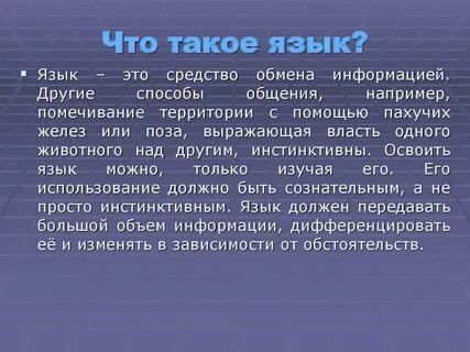 Что такое язык в русском