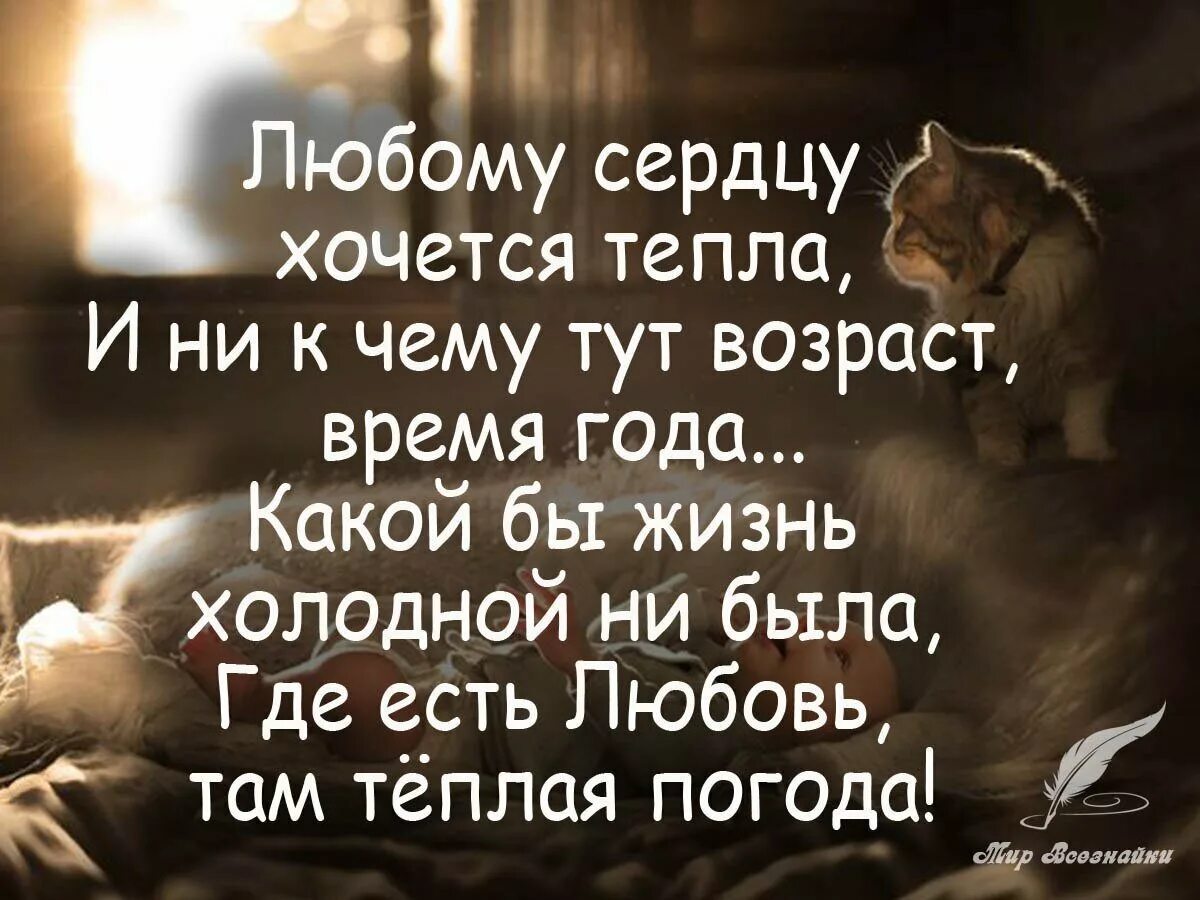 Жизнь как она есть цитаты. Теплые люди цитаты. хочется тепла цитаты. фразы о душевной теплоте. тепло души цитаты.