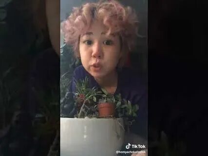 Что с хомой из тик тока случилось