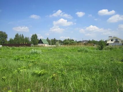 Погода в ельдигино