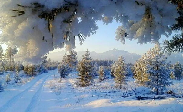 Картинка надписи доброе зимнее утро. Доброе зимнее утро. Открытки с добрым утром зимние. Доброе утро зимний пейзаж. С добрым утром зимние пейзажи.