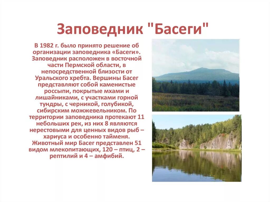 В какой зоне расположен пермский край. Басеги заповедник Пермский край на карте. Заповедники Пермского края Басеги кратко. Заповедник Басеги Пермский край информация. Заповедник Басеги Пермский край сообщение.