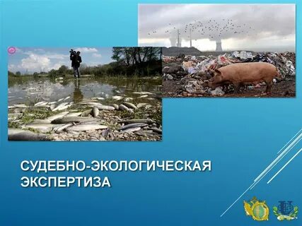 Судебно экологическая