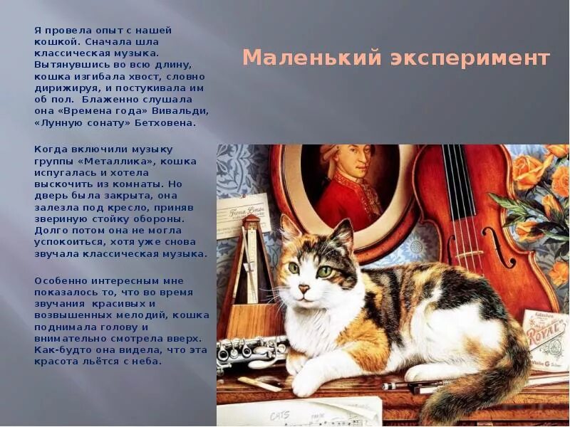 Стихи о котах. Будто кошка песня. Будто кошка песня. Будто кошка песня. Будто кошка песня.