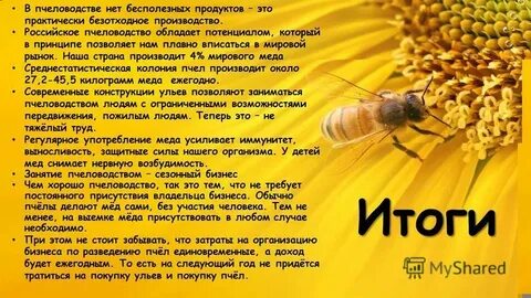 Учет пчел