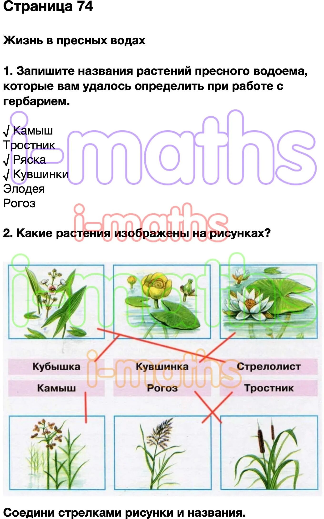 Окружающий мир 2 класс стр 74 77. Окружающий мир 1 часть рабочая тетрадь 1. Запишите названия растений пресного водоёма. Окружающий мир 4 класс рабочая тетрадь 1 часть стр. Рабочая тетрадь окружающий мир 1 стр 4.